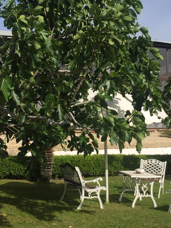 نابولي Zia Bi Bed And Breakfast المظهر الخارجي الصورة